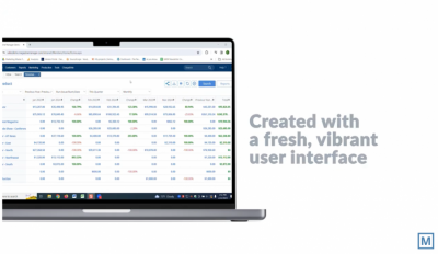 Click here to view a video about the Revenues & Goals Module